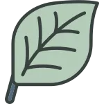 Leaf SVG Icon
